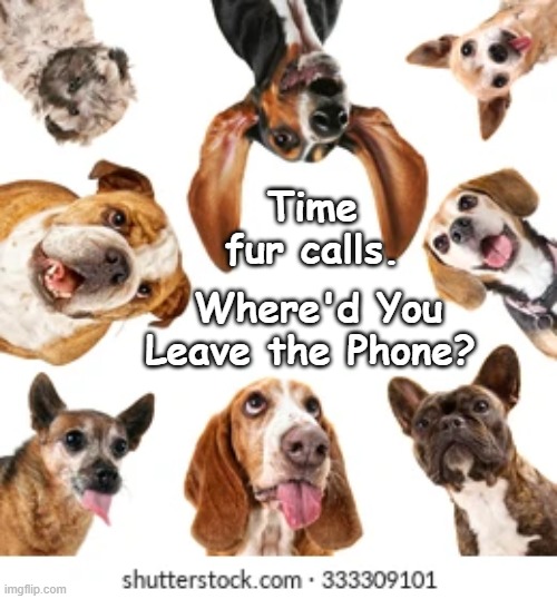 Time Fur Calls Dogs | Time fur calls. Where'd You Leave the Phone? | image tagged in time fur calls,many dogs call | made w/ Imgflip meme maker