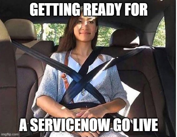 Buckle up kids | GETTING READY FOR; A SERVICENOW GO LIVE | image tagged in buckle up | made w/ Imgflip meme maker