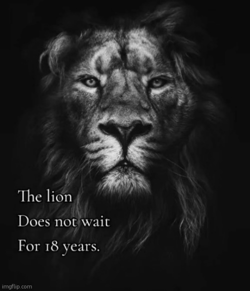 The lion doesn't need to wait | image tagged in the lion doesn't need to wait | made w/ Imgflip meme maker