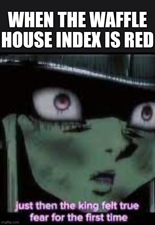 If you know, you know | WHEN THE WAFFLE HOUSE INDEX IS RED | image tagged in the king felt true fear for the first time | made w/ Imgflip meme maker
