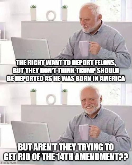 Being born in America doesn't give you citizenship...huh? | THE RIGHT WANT TO DEPORT FELONS, BUT THEY DON'T THINK TRUMP SHOULD BE DEPORTED AS HE WAS BORN IN AMERICA; BUT AREN'T THEY TRYING TO GET RID OF THE 14TH AMENDMENT?? | image tagged in memes,hide the pain harold | made w/ Imgflip meme maker