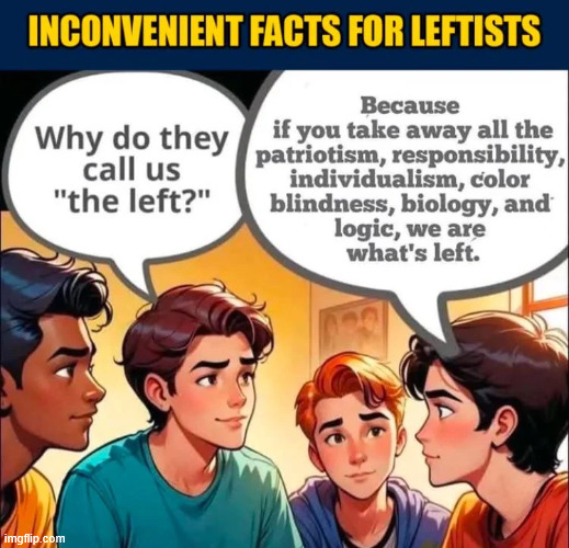Leftists are devoid of any decency | image tagged in inconvenient facts for libs | made w/ Imgflip meme maker