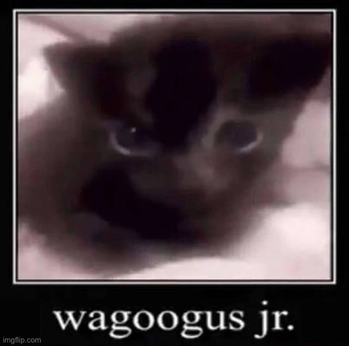 image tagged in wagoogus jr | made w/ Imgflip meme maker