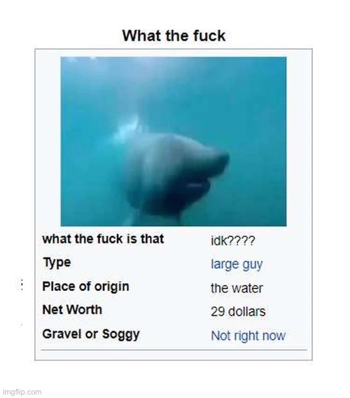 image tagged in what the fuck,fish | made w/ Imgflip meme maker
