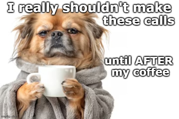 Call After Coffee Dog | I really shouldn't make; these calls; until AFTER 
my coffee | image tagged in i should call after coffee,grumpy morning dog | made w/ Imgflip meme maker