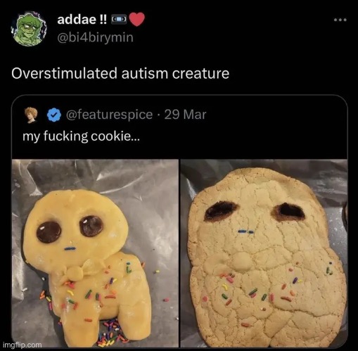 image tagged in autism | made w/ Imgflip meme maker