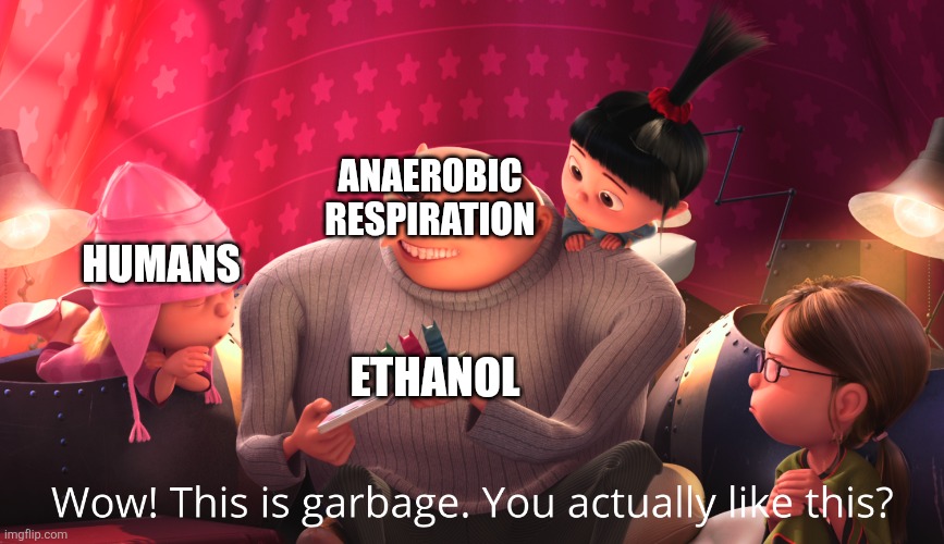 "One organism's trash is another organism's treasure" - some wise cell | ANAEROBIC RESPIRATION; HUMANS; ETHANOL | image tagged in wow this is garbage you actually like this | made w/ Imgflip meme maker