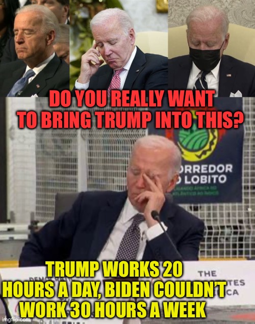DO YOU REALLY WANT TO BRING TRUMP INTO THIS? TRUMP WORKS 20 HOURS A DAY, BIDEN COULDN’T WORK 30 HOURS A WEEK | made w/ Imgflip meme maker