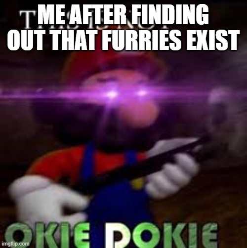 This is not okie dokie | ME AFTER FINDING OUT THAT FURRIES EXIST | image tagged in this is not okie dokie | made w/ Imgflip meme maker