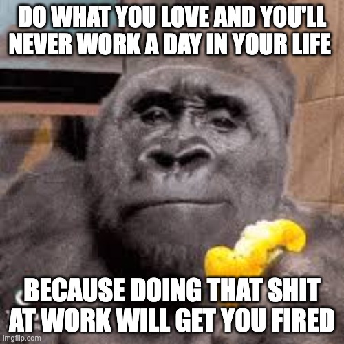 condescending monke | DO WHAT YOU LOVE AND YOU'LL NEVER WORK A DAY IN YOUR LIFE; BECAUSE DOING THAT SHIT AT WORK WILL GET YOU FIRED | image tagged in condescending monke | made w/ Imgflip meme maker