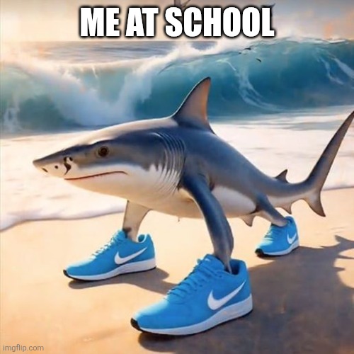 Tralalero Tralala | ME AT SCHOOL | image tagged in tralalero tralala | made w/ Imgflip meme maker