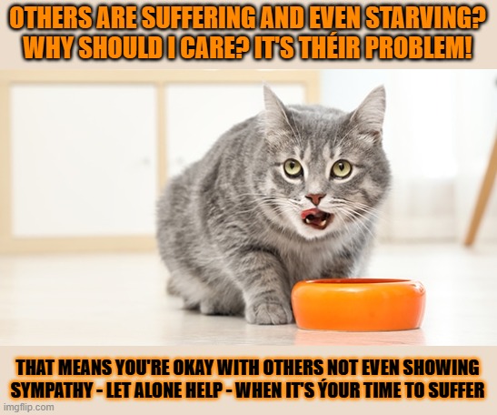 This #lolcat wonders why many hoo-mens don't treat others how they want to be treated themselves | OTHERS ARE SUFFERING AND EVEN STARVING?
WHY SHOULD I CARE? IT'S THÉIR PROBLEM! THAT MEANS YOU'RE OKAY WITH OTHERS NOT EVEN SHOWING SYMPATHY - LET ALONE HELP - WHEN IT'S ÝOUR TIME TO SUFFER | image tagged in selfish,stupid people,empathy,sympathy,lolcat | made w/ Imgflip meme maker