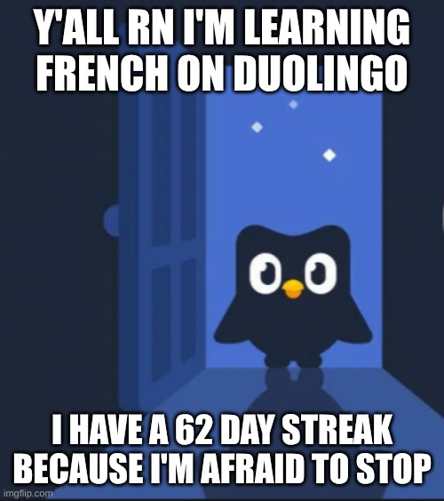 Duolingo bird | Y'ALL RN I'M LEARNING FRENCH ON DUOLINGO; I HAVE A 62 DAY STREAK BECAUSE I'M AFRAID TO STOP | image tagged in duolingo bird | made w/ Imgflip meme maker