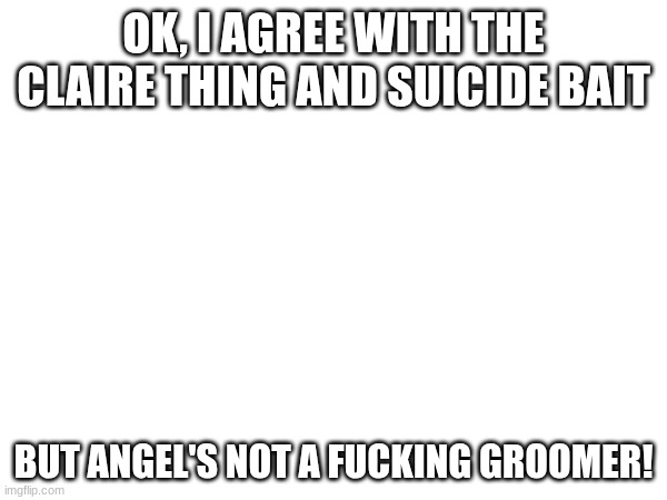 OK, I AGREE WITH THE CLAIRE THING AND SUICIDE BAIT; BUT ANGEL'S NOT A FUCKING GROOMER! | made w/ Imgflip meme maker
