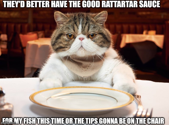 hungry cat | THEY'D BETTER HAVE THE GOOD RATTARTAR SAUCE; FOR MY FISH THIS TIME OR THE TIPS GONNA BE ON THE CHAIR | image tagged in hungry cat | made w/ Imgflip meme maker