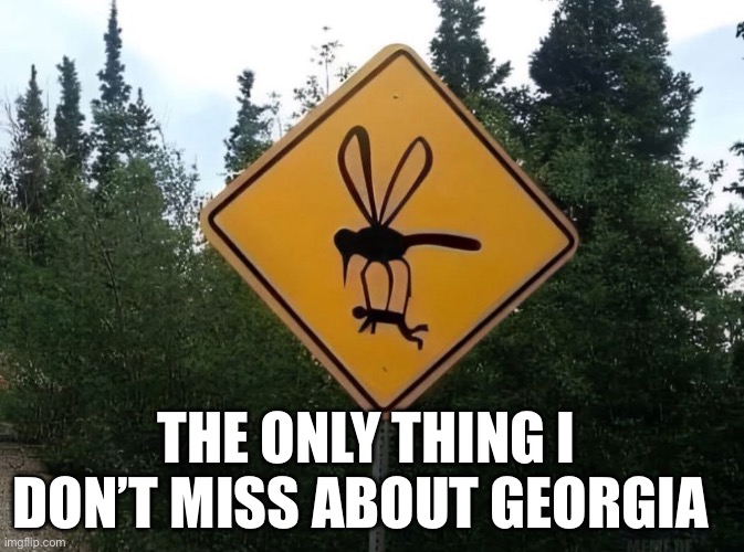 Georgia | THE ONLY THING I DON’T MISS ABOUT GEORGIA | image tagged in memes | made w/ Imgflip meme maker