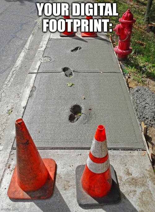Footprints in wet cement with cones | YOUR DIGITAL FOOTPRINT: | image tagged in footprints in wet cement with cones | made w/ Imgflip meme maker