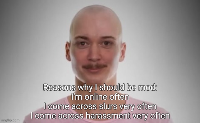 Bald Jimmyhere | Reasons why I should be mod:
I'm online often
I come across slurs very often
I come across harassment very often | image tagged in bald jimmyhere | made w/ Imgflip meme maker
