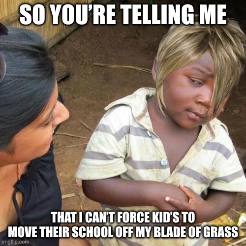Third World Skeptical Kid | SO YOU’RE TELLING ME; THAT I CAN’T FORCE KID’S TO MOVE THEIR SCHOOL OFF MY BLADE OF GRASS | image tagged in memes,third world skeptical kid | made w/ Imgflip meme maker