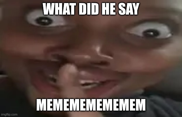 sigma man | WHAT DID HE SAY; MEMEMEMEMEMEM | image tagged in sigma man | made w/ Imgflip meme maker