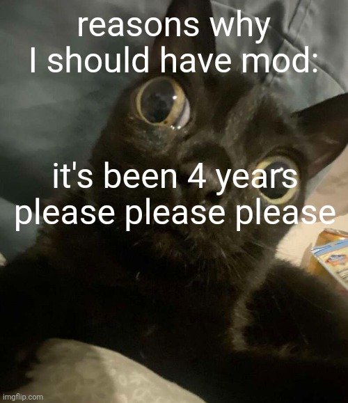 :plea: | reasons why I should have mod:; it's been 4 years please please please | made w/ Imgflip meme maker