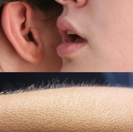 Whispering Equities Blank Meme Template