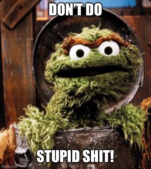 Don’t do stupid shit | DON’T DO; STUPID SHIT! | image tagged in oscar the grouch | made w/ Imgflip meme maker