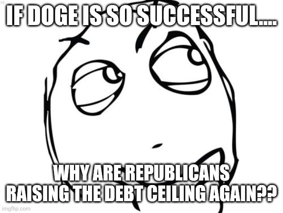 Why? | IF DOGE IS SO SUCCESSFUL.... WHY ARE REPUBLICANS RAISING THE DEBT CEILING AGAIN?? | image tagged in donald trump,trump,doge,elon musk,maga,nevertrump | made w/ Imgflip meme maker