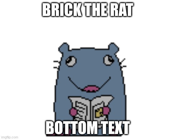 i thought that would be big news | BRICK THE RAT; BOTTOM TEXT | image tagged in i thought that would be big news | made w/ Imgflip meme maker
