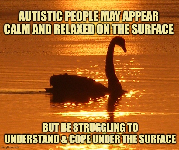 Autistic people can look calm and relaxed but be struggling under the surface | AUTISTIC PEOPLE MAY APPEAR CALM AND RELAXED ON THE SURFACE; BUT BE STRUGGLING TO UNDERSTAND & COPE UNDER THE SURFACE | image tagged in autism,struggle | made w/ Imgflip meme maker