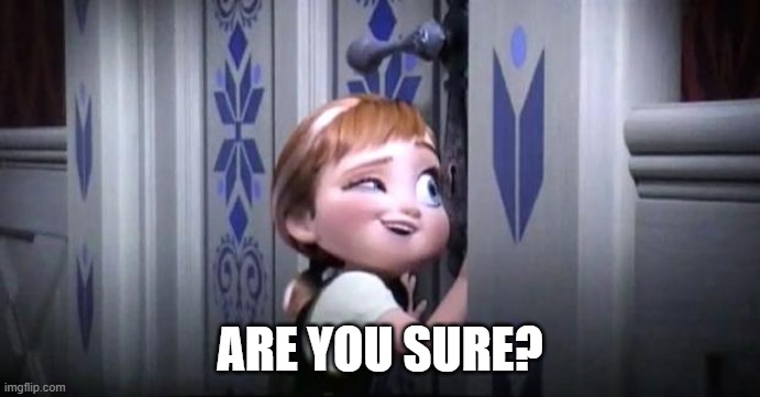 frozen little anna | ARE YOU SURE? | image tagged in frozen little anna | made w/ Imgflip meme maker