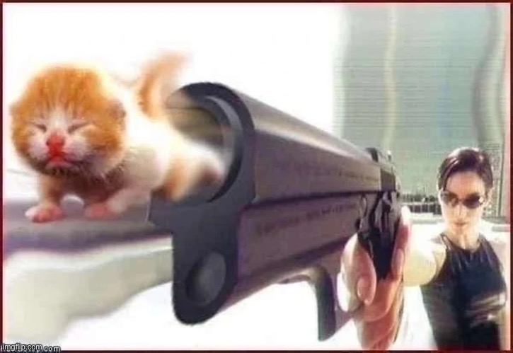 image tagged in cat gun | made w/ Imgflip meme maker