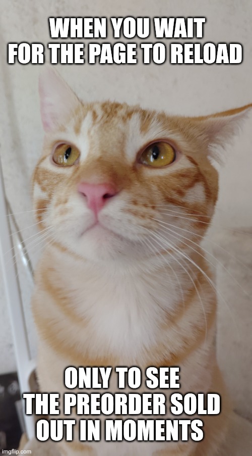 Unamused Cat | WHEN YOU WAIT FOR THE PAGE TO RELOAD; ONLY TO SEE THE PREORDER SOLD OUT IN MOMENTS | image tagged in unamused cat | made w/ Imgflip meme maker