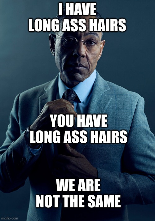 Gus Fring we are not the same | I HAVE LONG ASS HAIRS; YOU HAVE LONG ASS HAIRS; WE ARE NOT THE SAME | image tagged in gus fring we are not the same | made w/ Imgflip meme maker