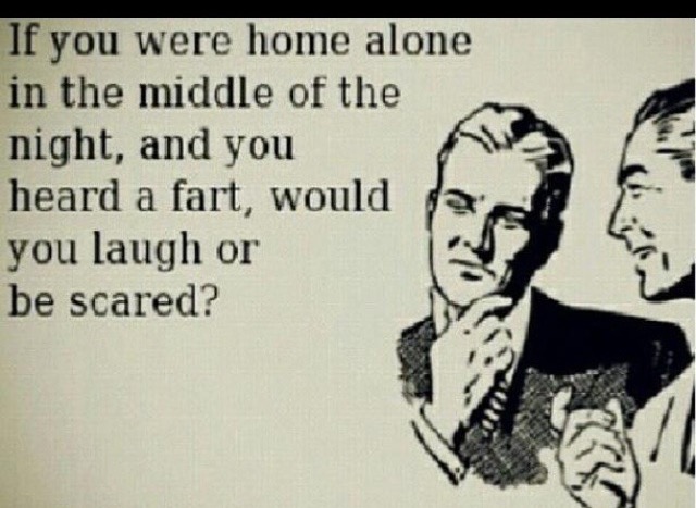 I'd laugh then be scared | image tagged in laughing,scared,fart,ghosts,funny memes,bathroom humor | made w/ Imgflip meme maker