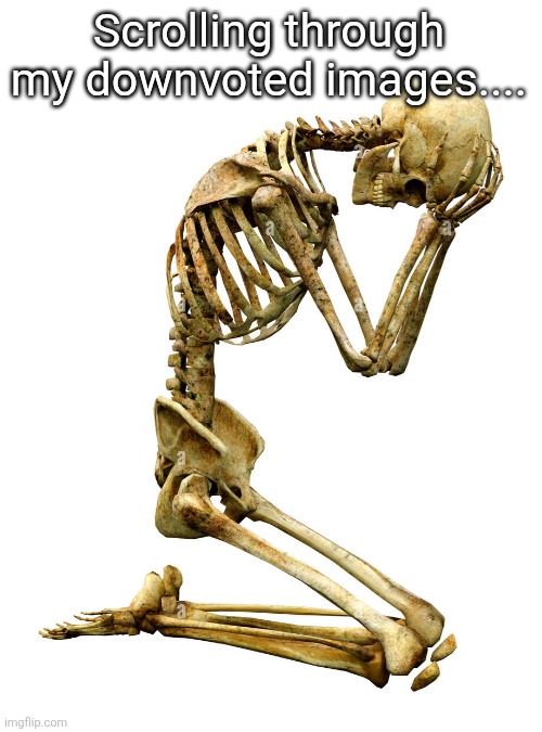 Oh no skeleton | Scrolling through my downvoted images.... | image tagged in oh no skeleton | made w/ Imgflip meme maker