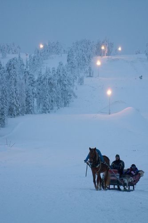 Snowy Heavenly Hill | image tagged in snow,winter,beautiful,tranquility,serenity,peaceful | made w/ Imgflip meme maker