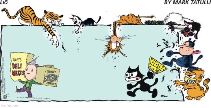 Lio tries to trap some familiar felines… | image tagged in comics,lio,cartoon cats | made w/ Imgflip meme maker