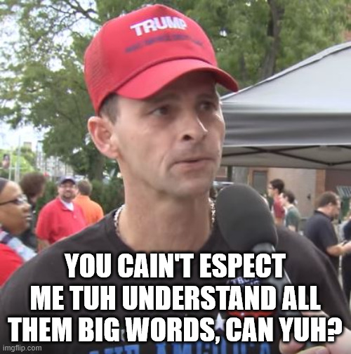 Trump supporter | YOU CAIN'T ESPECT ME TUH UNDERSTAND ALL THEM BIG WORDS, CAN YUH? | image tagged in trump supporter | made w/ Imgflip meme maker