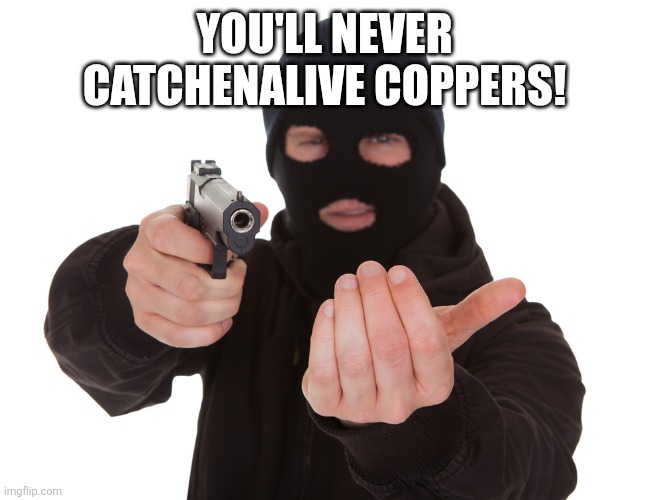 robbery | YOU'LL NEVER CATCHENALIVE COPPERS! | image tagged in robbery | made w/ Imgflip meme maker