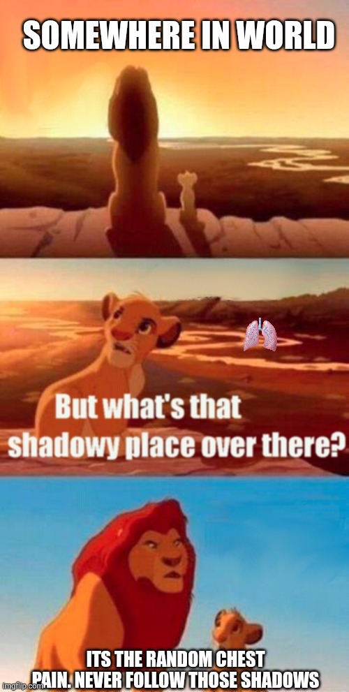 True | SOMEWHERE IN WORLD; ITS THE RANDOM CHEST PAIN. NEVER FOLLOW THOSE SHADOWS | image tagged in memes,simba shadowy place | made w/ Imgflip meme maker