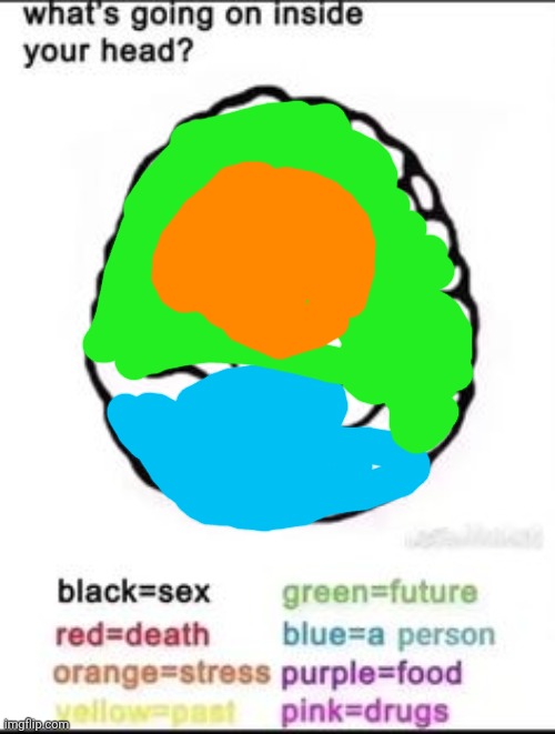 What's going on inside your head? | image tagged in what's going on inside your head | made w/ Imgflip meme maker