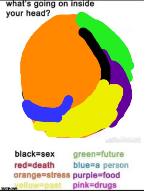 What's going on inside your head? | image tagged in what's going on inside your head | made w/ Imgflip meme maker