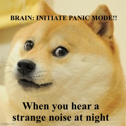 lol | BRAIN: INITIATE PANIC MODE!! When you hear a strange noise at night | image tagged in memes,doge | made w/ Imgflip meme maker