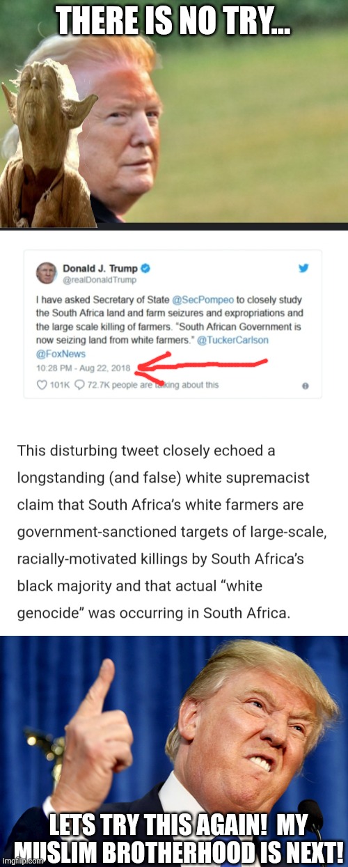 And what was the study?  This was 2018....and widely supported by who.. | THERE IS NO TRY... LETS TRY THIS AGAIN!  MY MUSLIM BROTHERHOOD IS NEXT! | image tagged in drag trump,donald trump | made w/ Imgflip meme maker