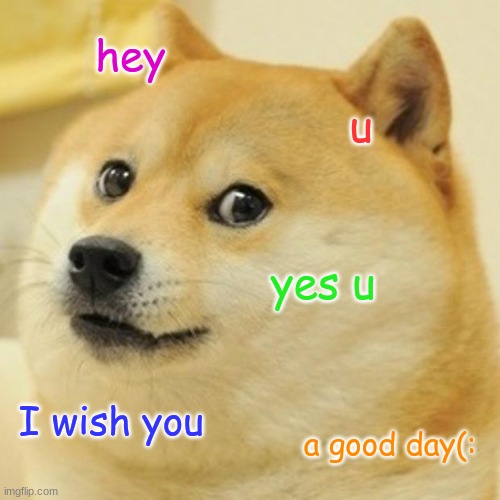 Doge | hey; u; yes u; I wish you; a good day(: | image tagged in memes,doge | made w/ Imgflip meme maker