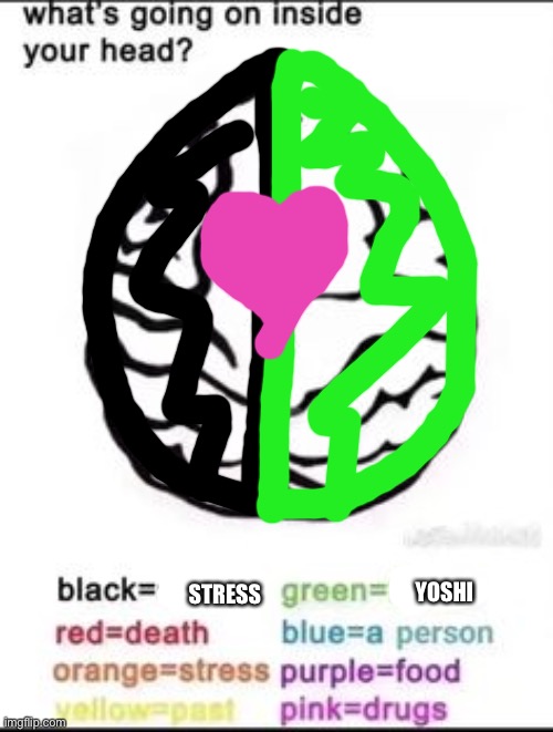 What's going on inside your head? | STRESS; YOSHI | image tagged in what's going on inside your head | made w/ Imgflip meme maker