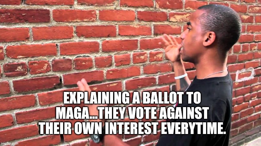 Talking to wall | EXPLAINING A BALLOT TO MAGA...THEY VOTE AGAINST THEIR OWN INTEREST EVERYTIME. | image tagged in talking to wall | made w/ Imgflip meme maker