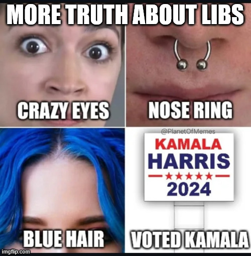 MORE TRUTH ABOUT LIBS | made w/ Imgflip meme maker