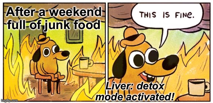 Detox | After a weekend full of junk food; Liver: detox mode activated! | image tagged in memes,this is fine | made w/ Imgflip meme maker